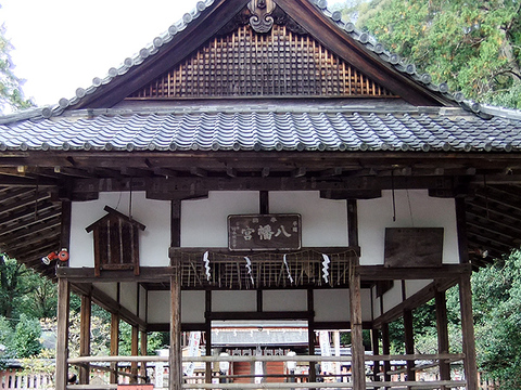 DSCF1399_600.jpg