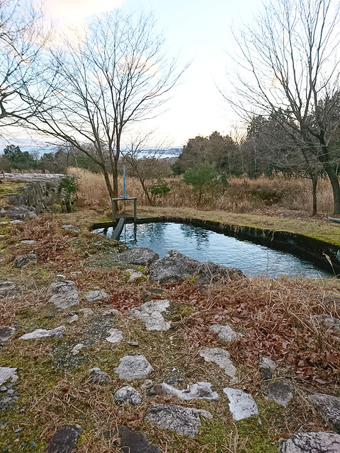 DSC_0730_600.jpg