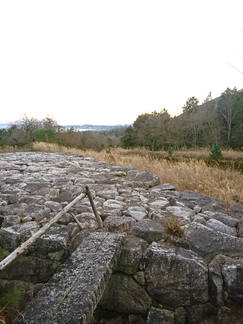 DSC_0731_600.jpg