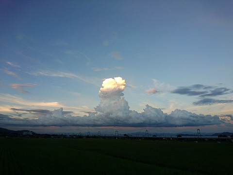 DSC_0969_800.jpg
