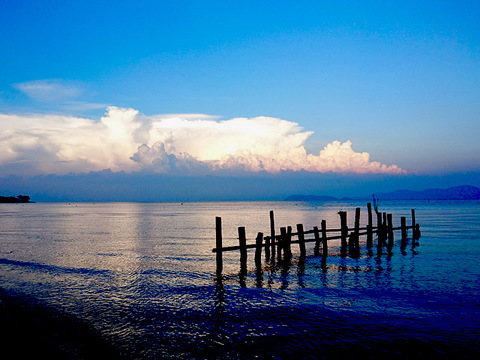 DSC_0984_800.jpg