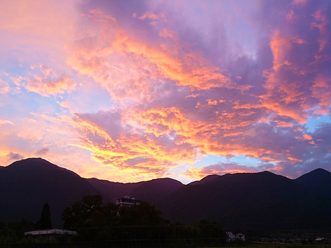 DSC_0998_800.jpg