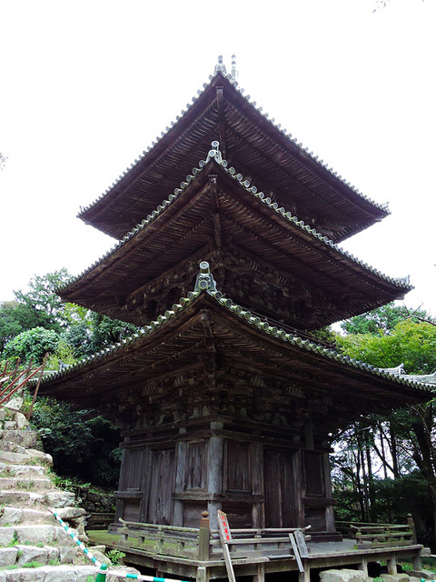 DSCN2865_800.jpg