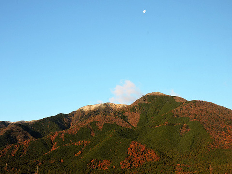 DSCN3538_800.jpg