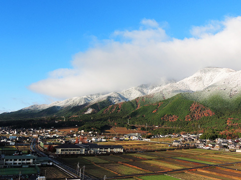 DSCN3639_800.jpg