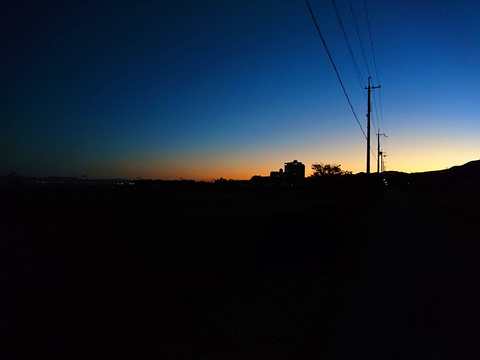 DSC_1075_800.jpg