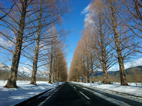 DSC_1113_800.jpg