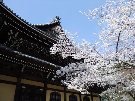 2014040101.jpg