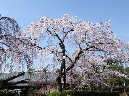 2014040102.jpg