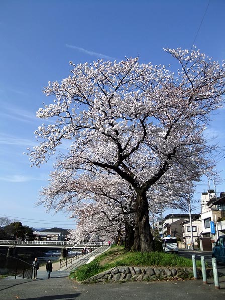 2014040105.jpg