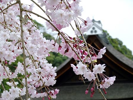 2014041001.jpg