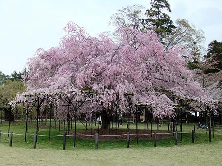 2014041002.jpg