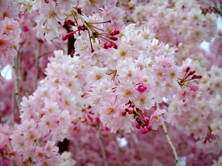 2014041003.jpg