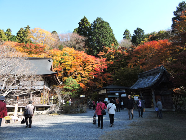 http://www.acrowass.com/ookinikyoto/photo/DSCN8659_600.jpg