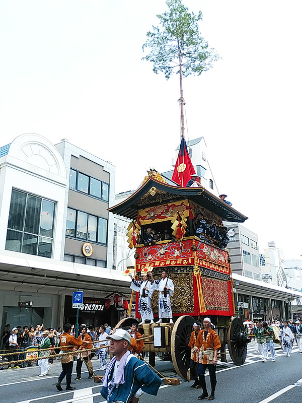 http://www.acrowass.com/ookinikyoto/photo/DSC_0456a_600.jpg