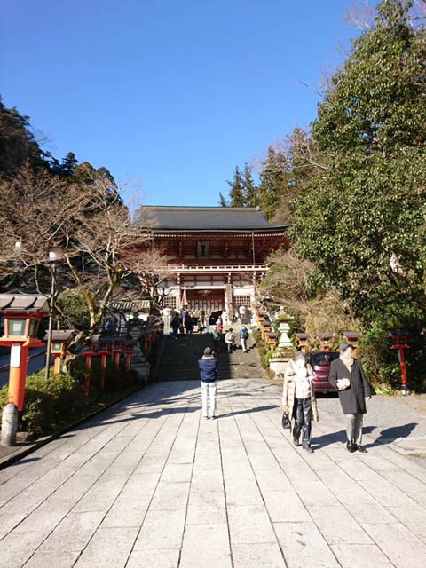 http://www.acrowass.com/ookinikyoto/photo/DSC_0490_600.jpg