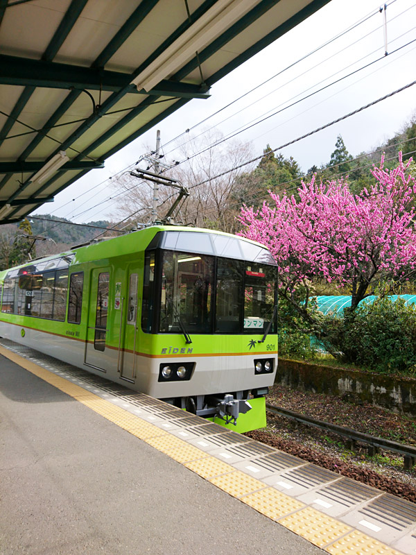 http://www.acrowass.com/ookinikyoto/photo/DSC_0560_600.jpg