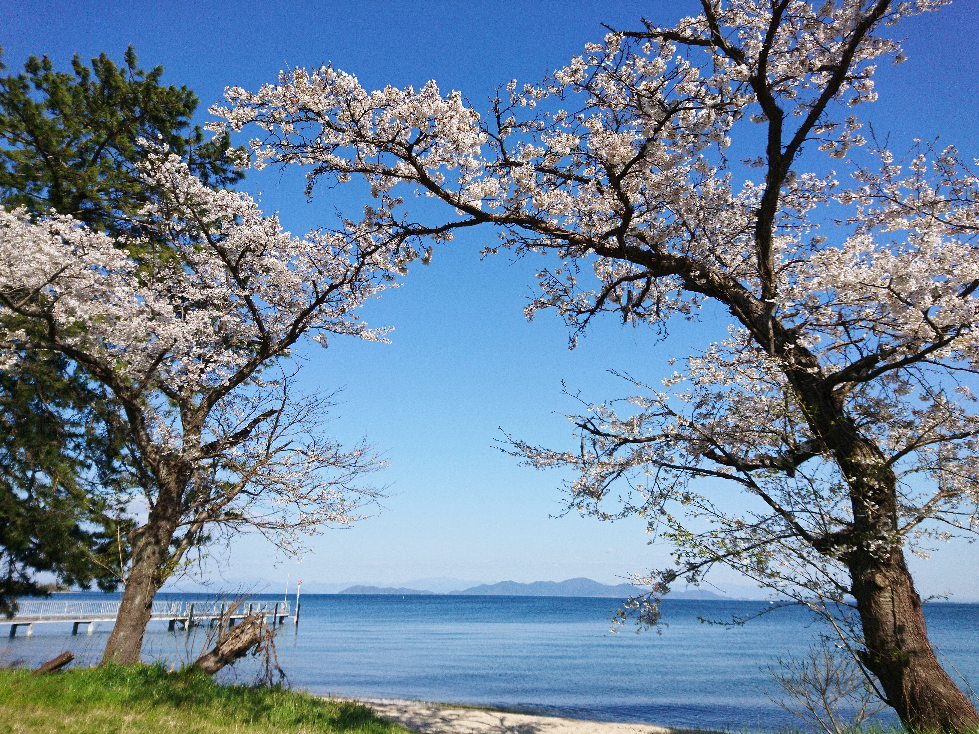 http://www.acrowass.com/ookinikyoto/photo/DSC_0811_800.jpg