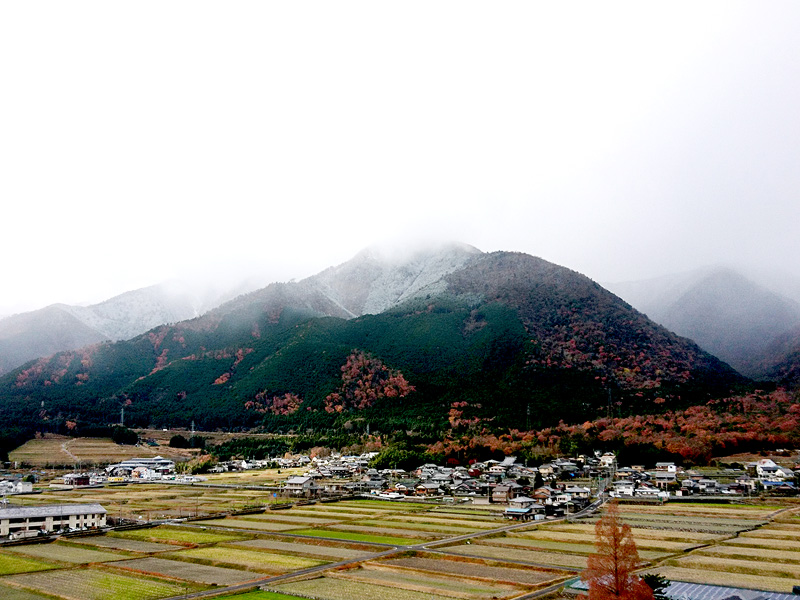 http://www.acrowass.com/ookinikyoto/photo/DSC_1079_800.jpg