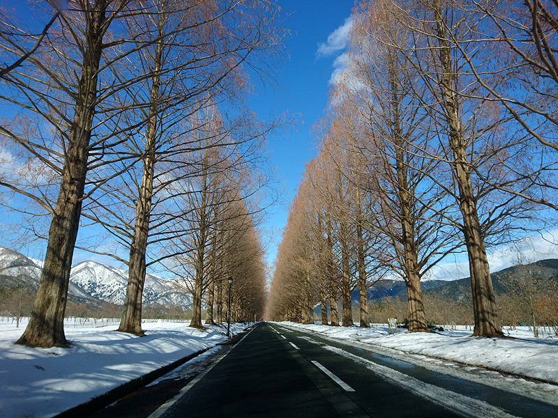 http://www.acrowass.com/ookinikyoto/photo/DSC_1113_800.jpg