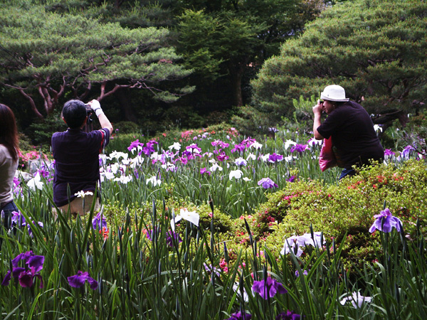 http://www.acrowass.com/ookinikyoto/photo/PICT0015_600.jpg