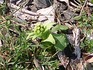 2014032701.jpg