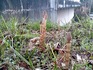 2014032702.jpg