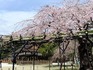 2014032901.jpg