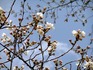 2014032902.jpg