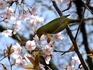 2014032903.jpg