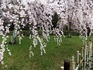 2014033002.jpg