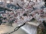 2014040604.jpg