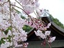 2014041001.jpg