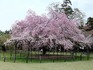 2014041002.jpg