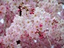2014041003.jpg
