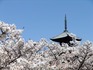 2014041401.jpg