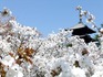 2014041405.jpg