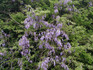 20140430_180838.jpg