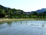 DSCF6146_600.jpg