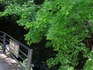 DSCF6155_600.jpg