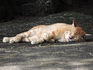 DSCN0032_600.jpg