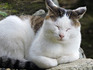 DSCN0378_600.jpg