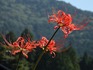 DSCN0404_600.jpg