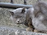 DSCN0446_600.jpg