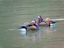 DSCN0582_600.jpg