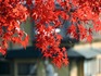 DSCN0777_600.jpg