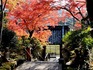 DSCN0788_600.jpg