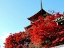 DSCN0796_600.jpg