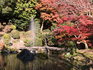 DSCN0797.JPG