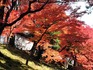 DSCN0886_600.jpg